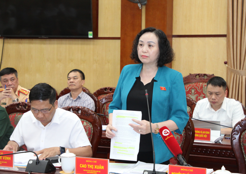 Phó Chủ tịch Hội đồng Dân tộc Cao Thị Xuân phát biểu